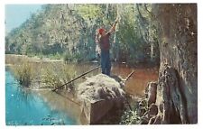 Man Gathering Spanish Moss Cajun Boat Banks Bayou Louisiana La Postcard