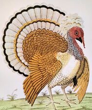 Eleazer Albin Birds Common Turkey Vintage Print Book Plate 33